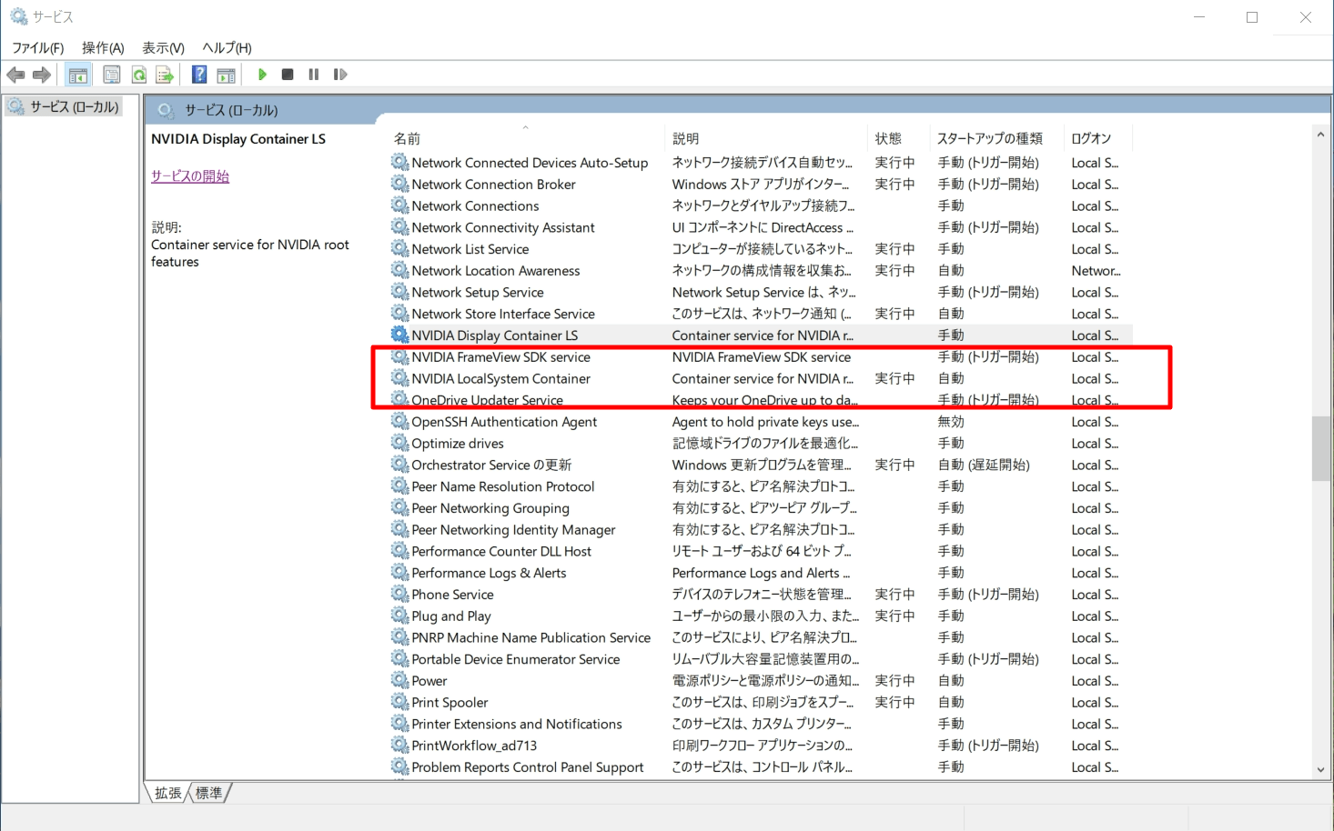 NVIDIA LocalSystem Container